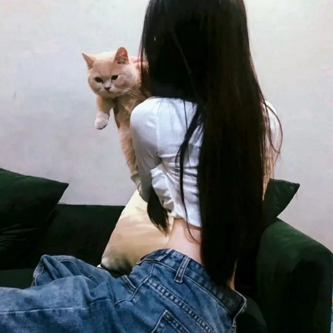 唐老鸭的自我改善
